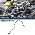 Radiator Hose for BMW 5 Series G30 M5 (2018–2020) Coolant Pipe OEM