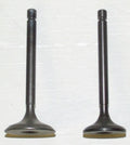 Engine Valve Kit for Yamaha 125 Breeze / Grizzly (1989–2011) - 017-310