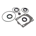 Seal Kit for Johnson Evinrude 150-300 Hp Lower Gearcase (5035077, 05035077, 18-8380)
