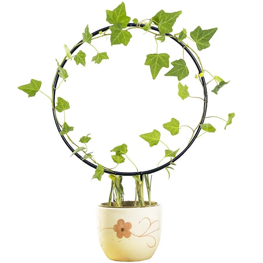 Heart-Shaped Plant Trellis Support Frame for Climbing Vines