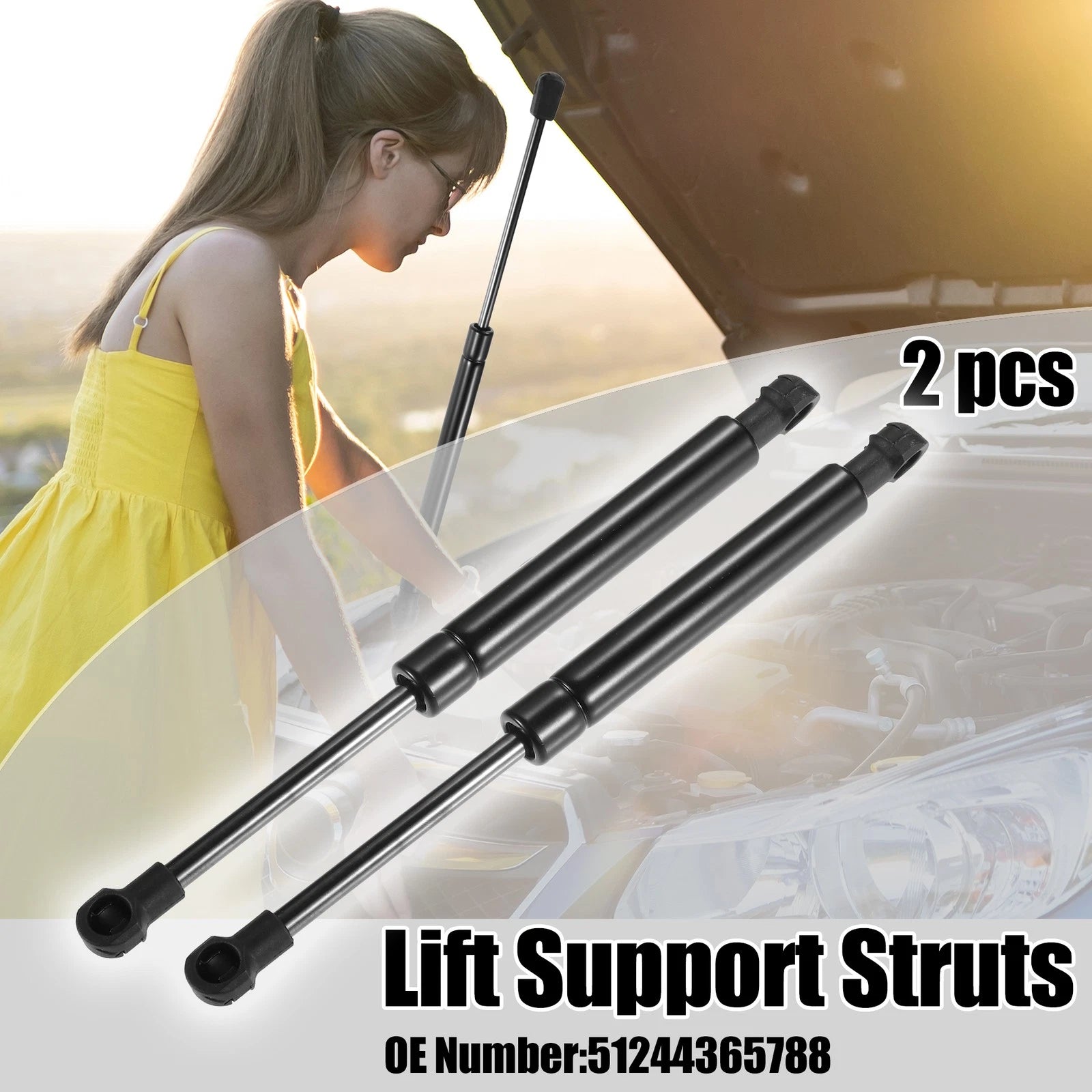 2pcs Rear Tailgate Lift Support Gas Struts for BMW 325i (2006–2006)