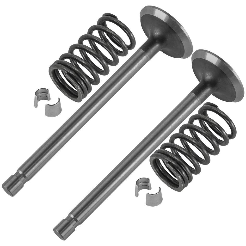 Intake Exhaust Valve Kit Replacement for Kohler K-Series (2005–2020)