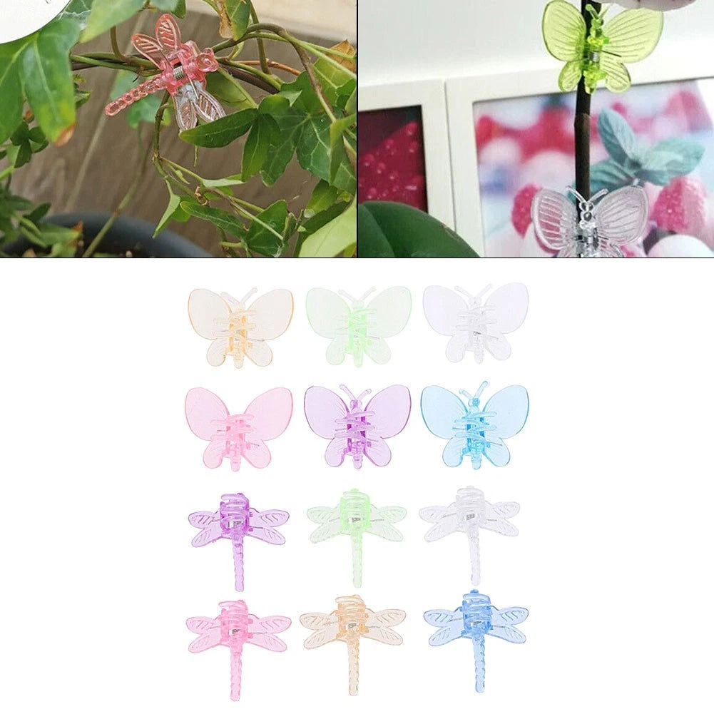 Vine Fix Clip Accessories for Orchids