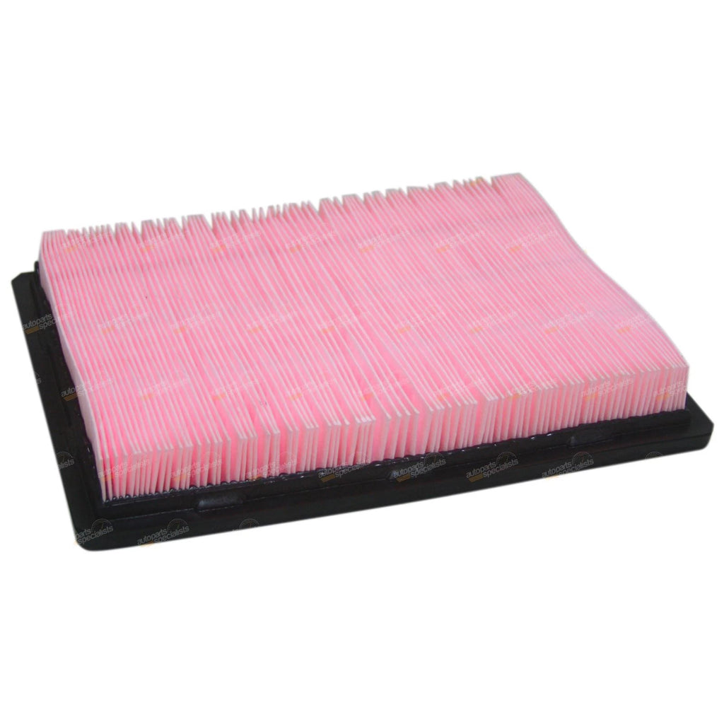 Air Filter Cleaner for Holden Commodore VX WL (2004–2007) V8 6.0L
