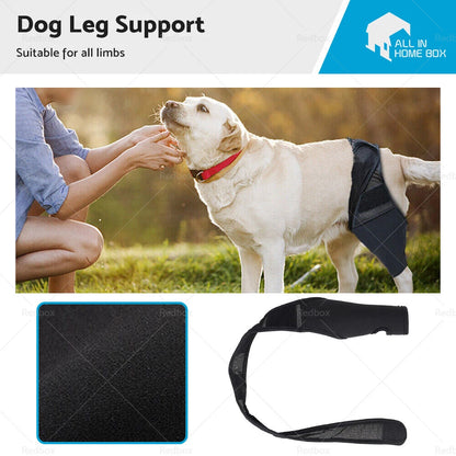 Pet Dog Knee Support Brace for Rear Leg (S/M/L/XL)