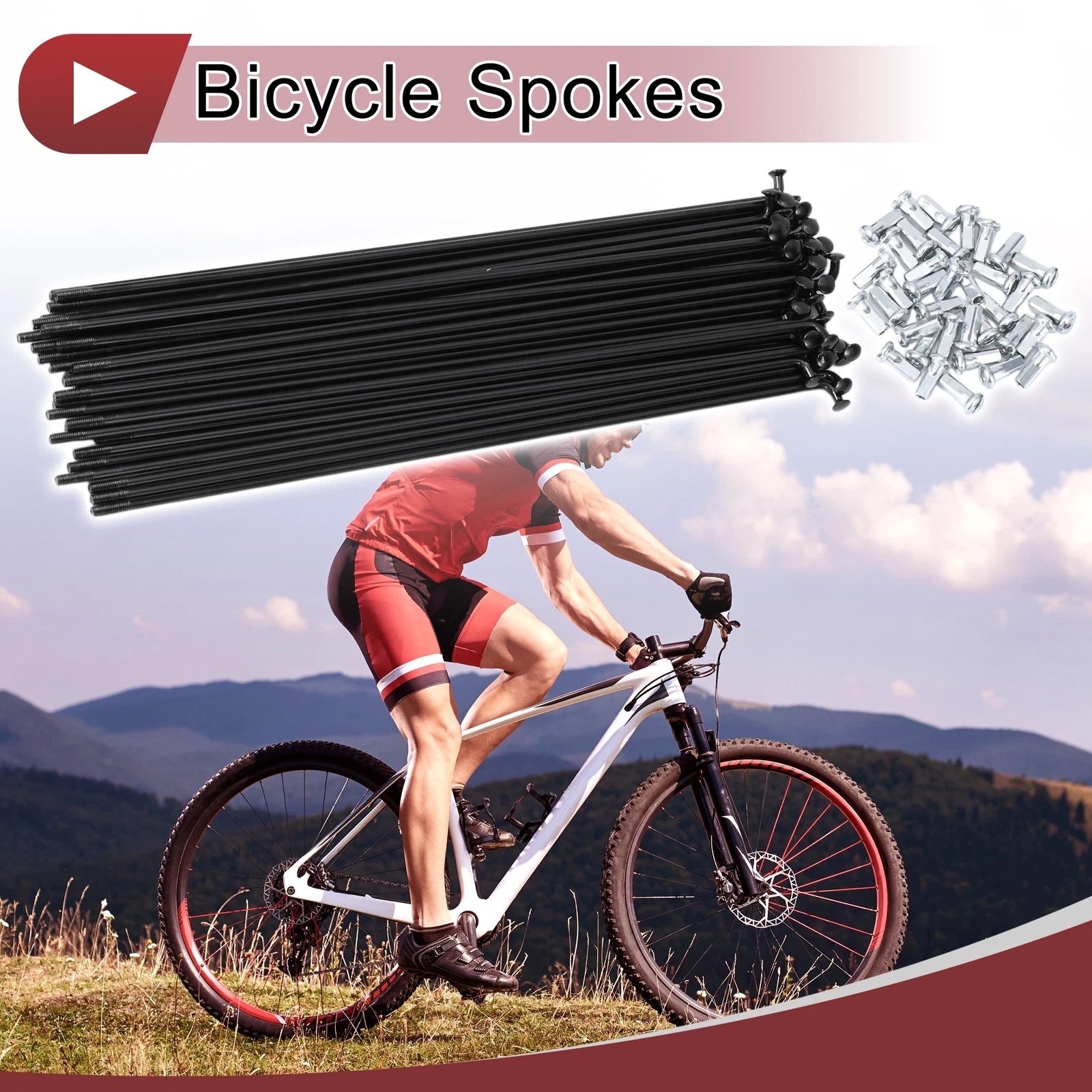 Bicycle Spokes 193mm Steel Replacement Set for 12G Wheel (193mm) (2005–2015)