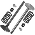 Exhaust and Intake Valve Kit Replacement for Kohler CH1000 (2010–2012)