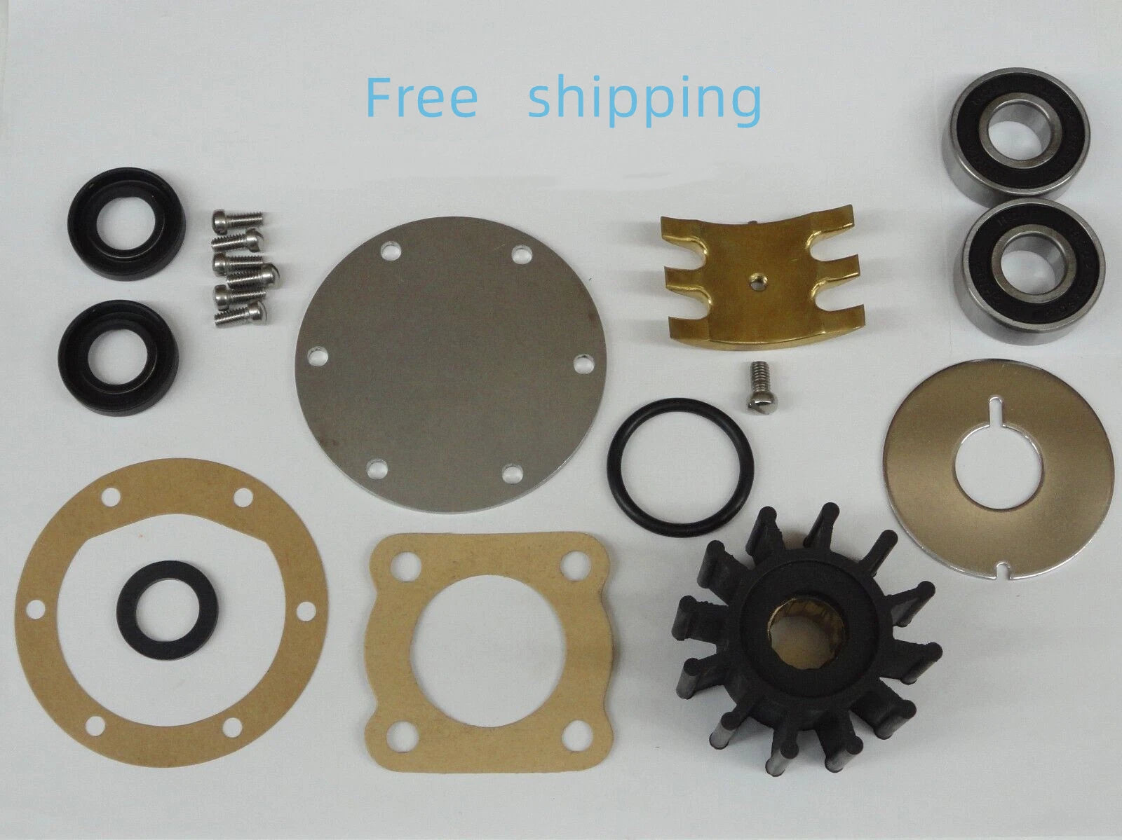 Major Repair Kit for Jabsco Pump 5850-0001 (Includes Impeller, Gasket, Seals)