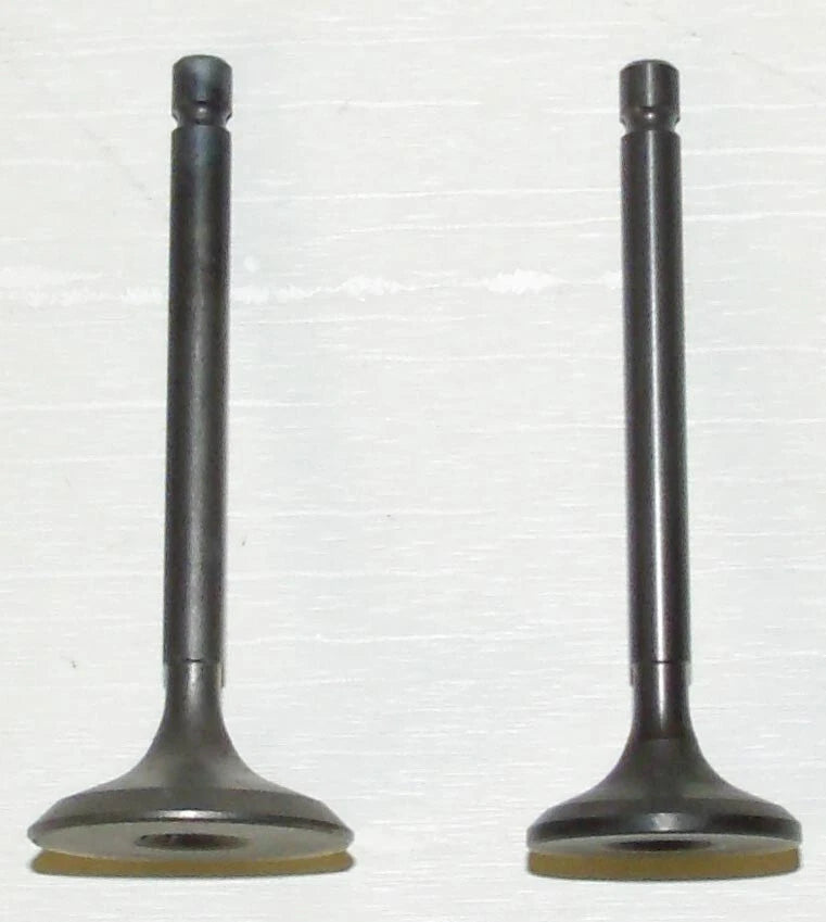 WSM Engine Valve Kit for Yamaha 125 Breeze/Grizzly (1989–2011) - 017-310