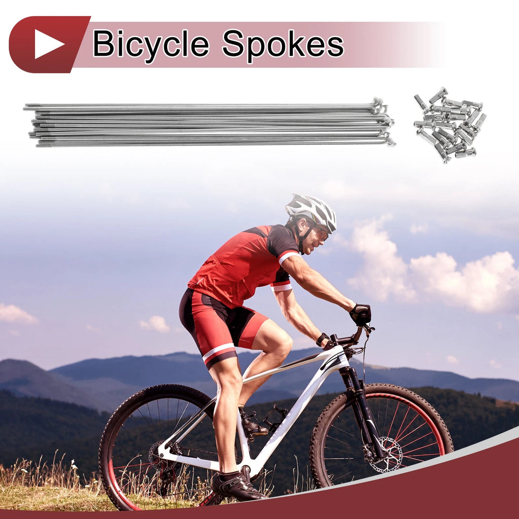 Bicycle Wheel Spokes 231mm Stainless Steel Replacement for 20 Set 304 Silver