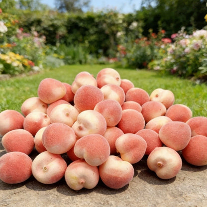 Set of 20 Artificial Peach Decorations for Home Kitchen Table 3CM