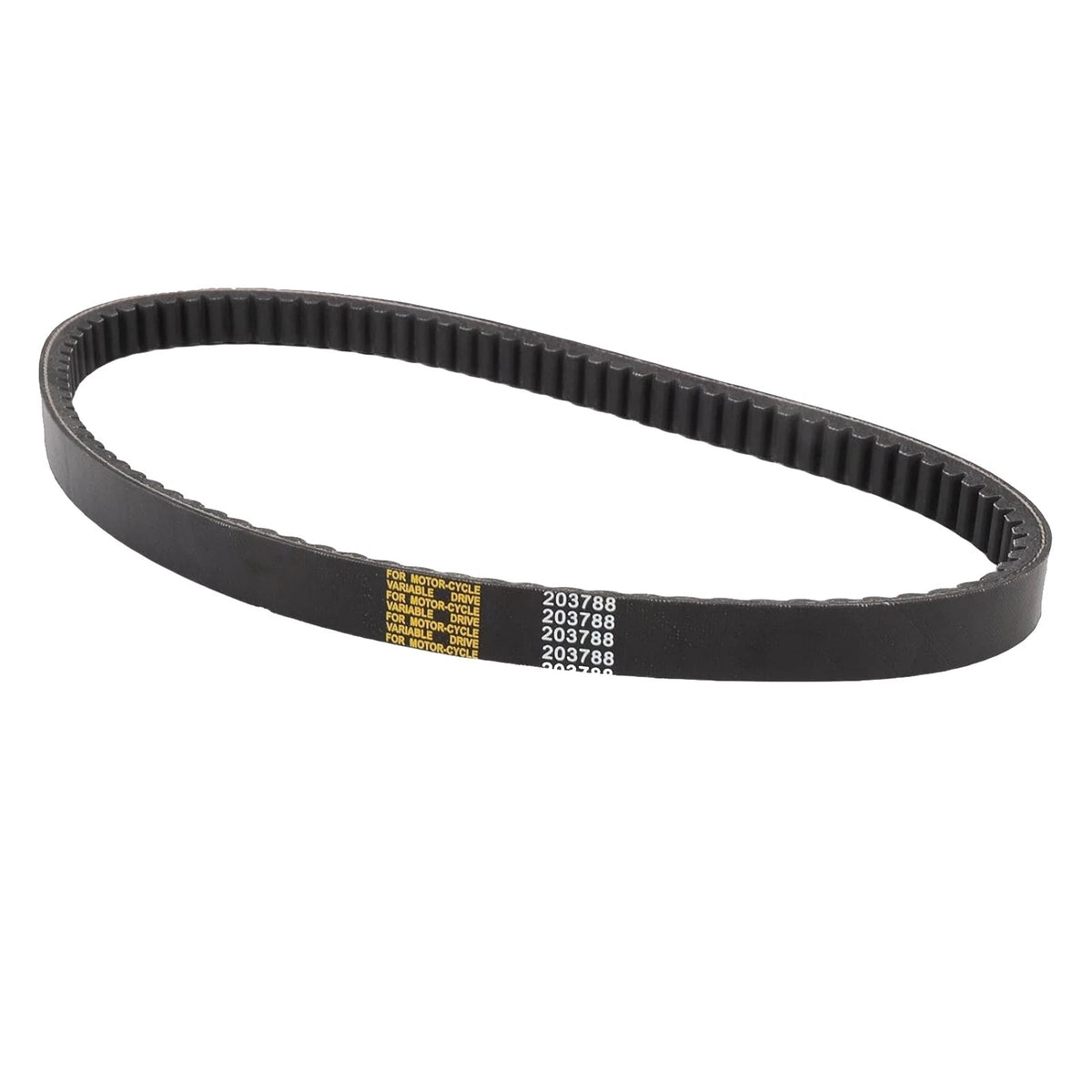 Torque Converter Drive Belt 203788 for Comet TAV2 40 44 Series