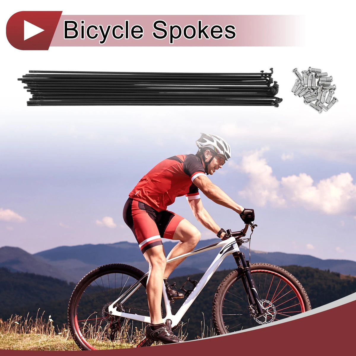 Bicycle Spokes Set 304 Stainless Steel 251mm for 20 Inch Bike Wheels (1990–1999)