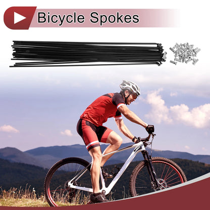 Bicycle Spoke Set 12G 278 mm Carbon Steel Black for 28 inch Wheels