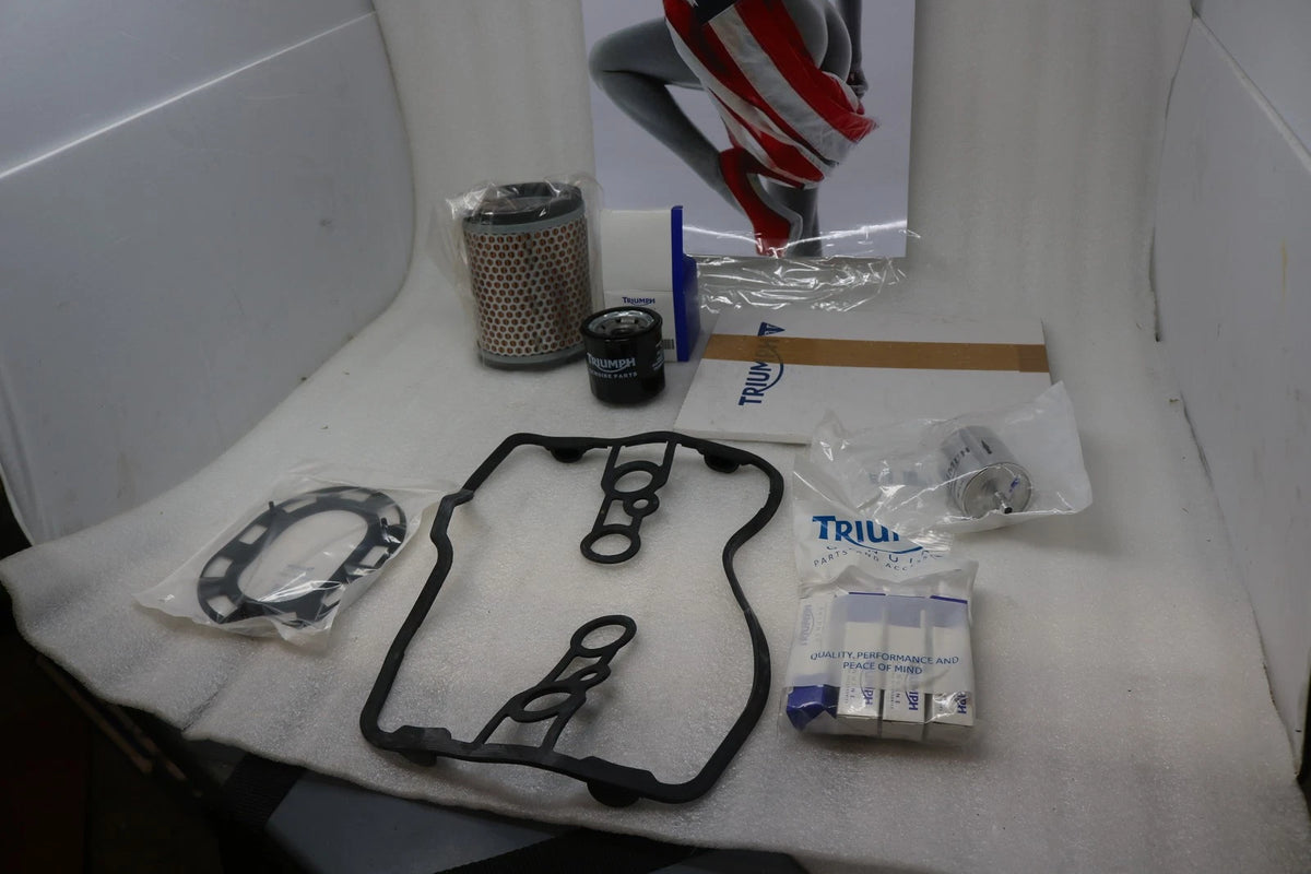 Engine Service Kit for Triumph Thunderbird 1600 1700 (2009–2020) T3990008