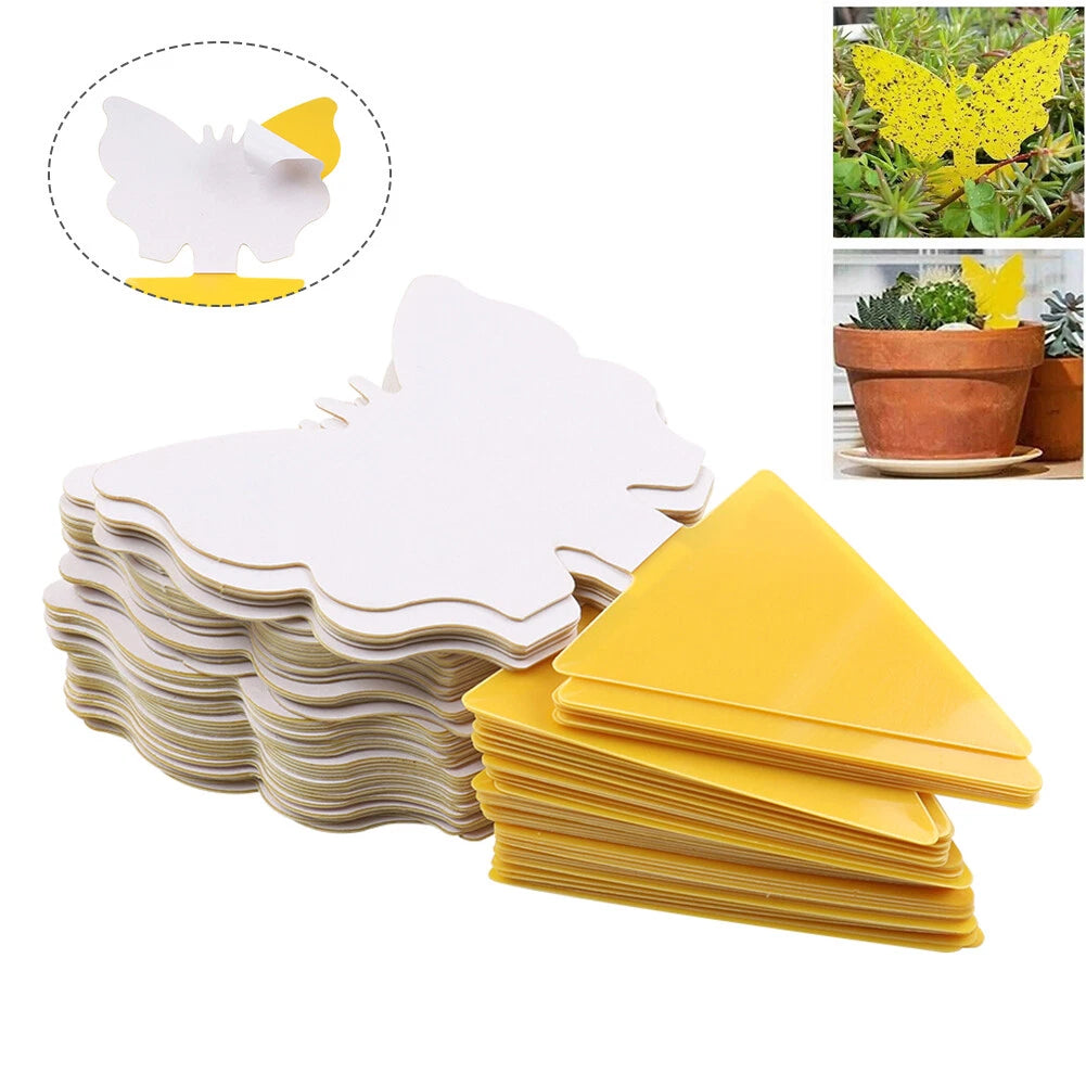 50pcs Sticky Fruit Fly Traps for Indoor Outdoor Use
