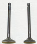 WSM Engine Valve Kit for Yamaha YFM 80/100 (1986–2008) - 017-309