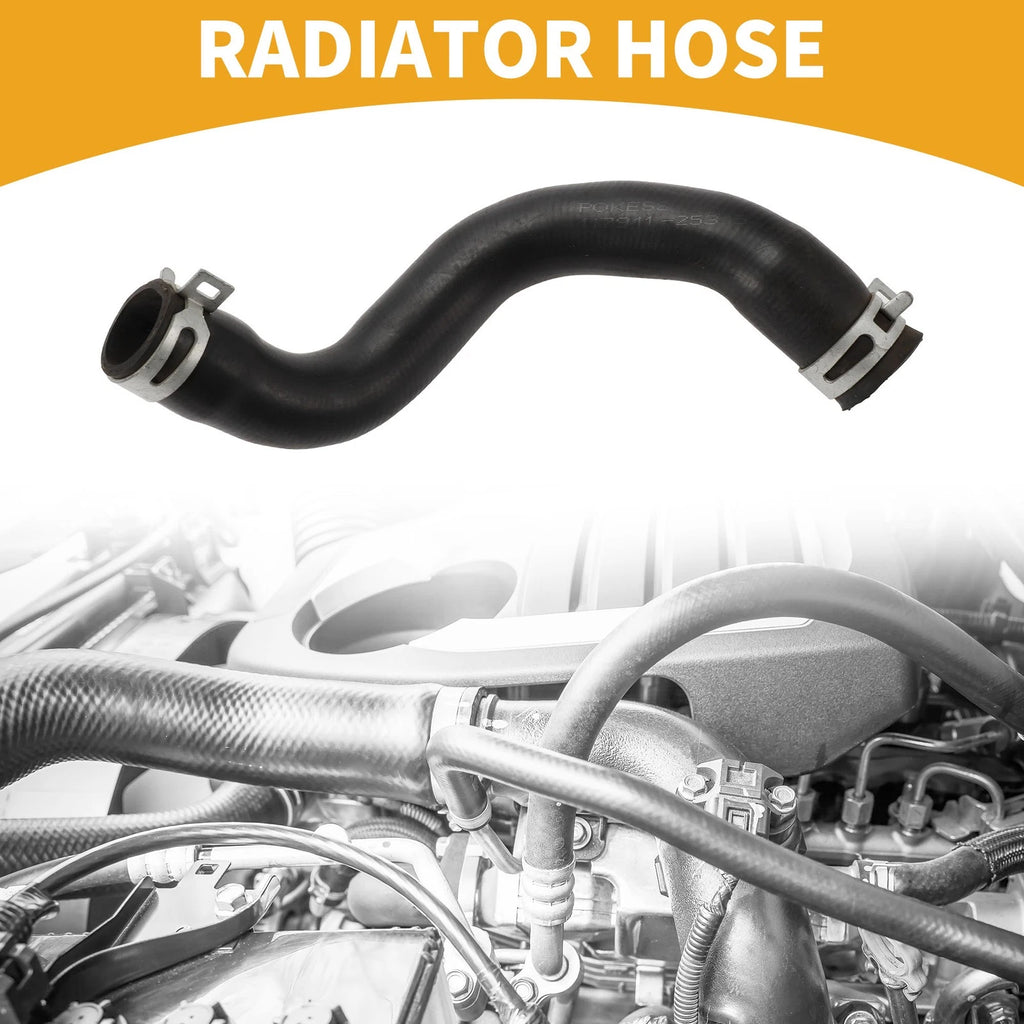 Radiator Hose Replacement for Ford Focus III Saloon (2014–2020)