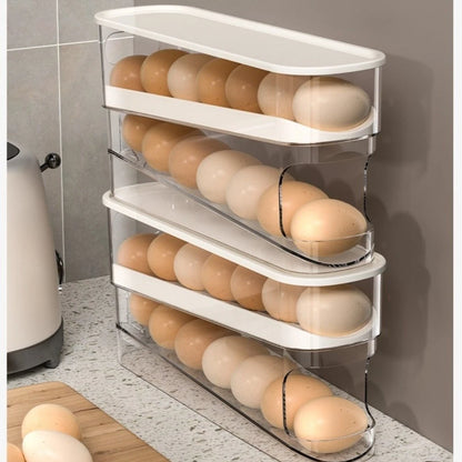 Egg Storage Box for Fridge (30.5 x 8.5 x 14.2 cm) Holds 12 Eggs