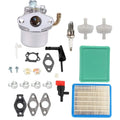 Carburetor for B&S (797180, 811064, 32711242)
