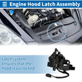 Hood Latch Assembly Replacement for Toyota Sienna (2011–2020)