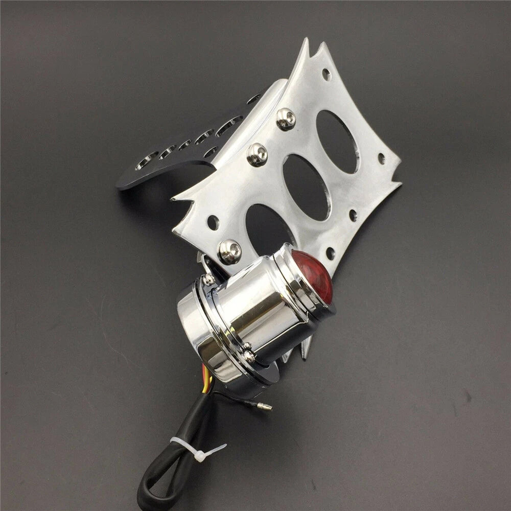 Chrome License Bracket & Tail Light for Harley Touring