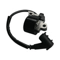 Electronic Ignition Module for