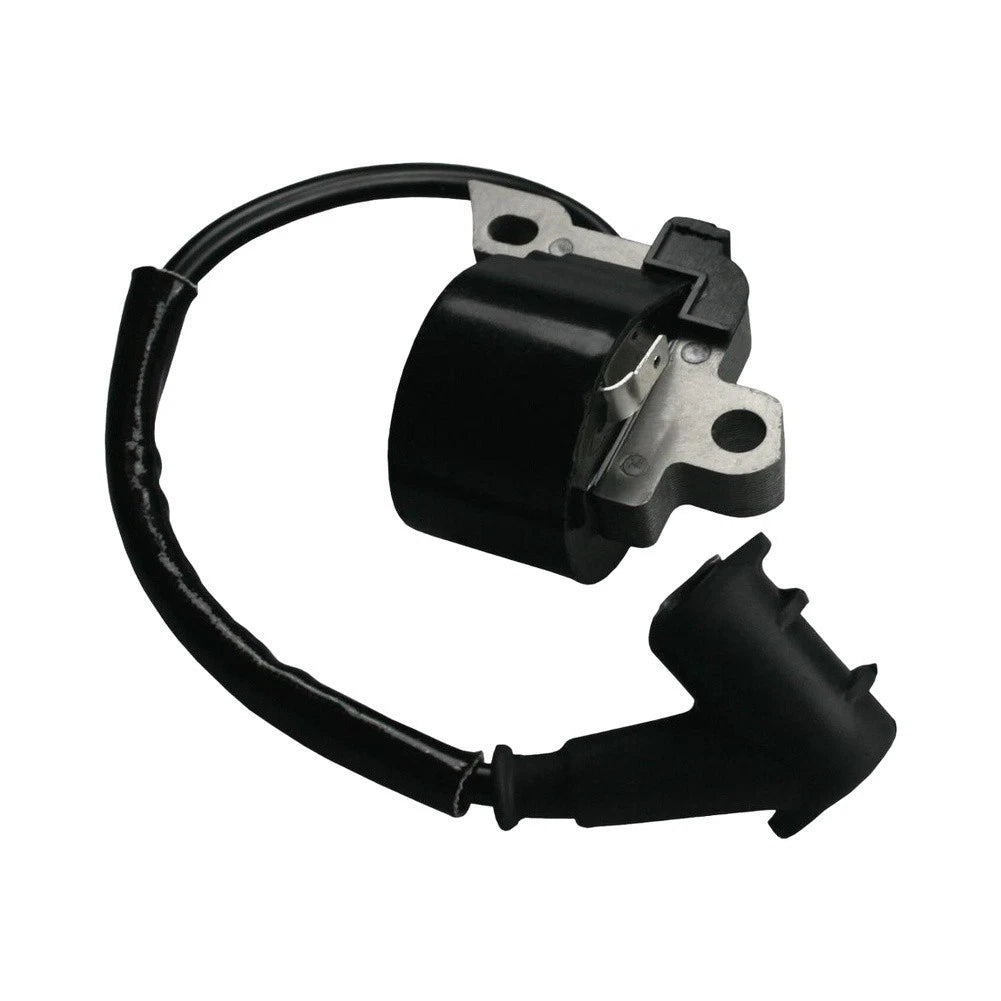 Electronic Ignition Module for