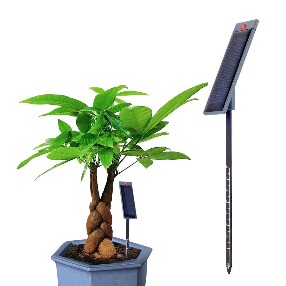 Soil Moisture Meter for Tropical Plants (Indoor Use)