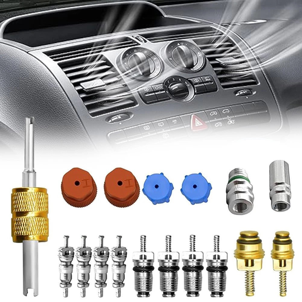R12 to R134A Conversion Kit for Air Conditioning Systems (17 Pcs)