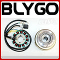 12 Pole Magneto Stator Roller Flywheel for 200cc 250cc Engine PIT Quad ATV