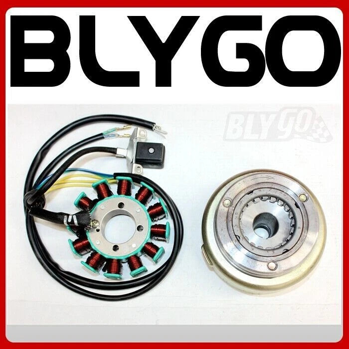 12 Pole Magneto Stator Roller Flywheel for 200cc 250cc Engine PIT Quad ATV