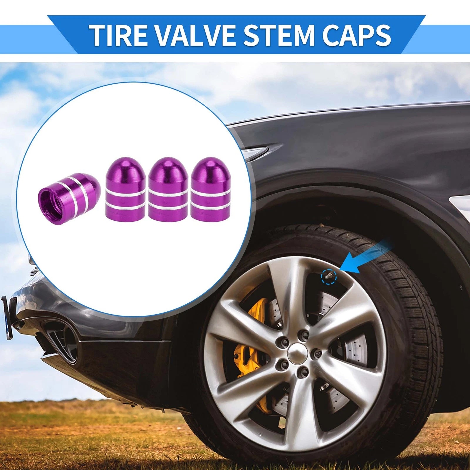 Tire Valve Stem Caps Replacement for Car SUV Bike RV (2000–2026)