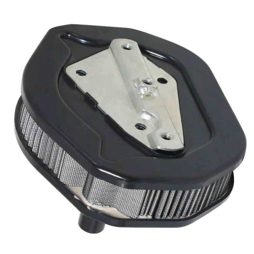 Air Filter Element for Harley-Davidson XL883N Iron 883 XL1200C (2017–2020)