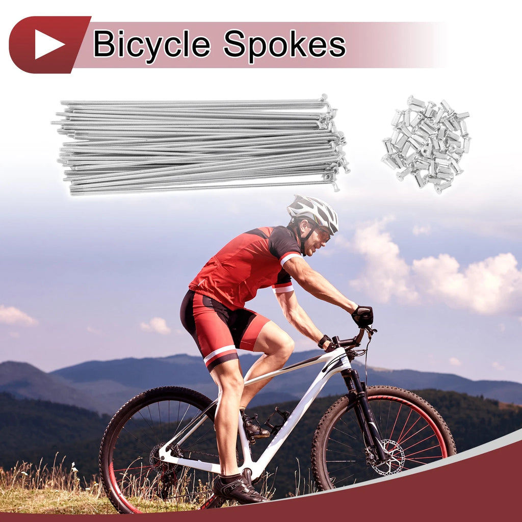 Bicycle Spokes Set 230mm Carbon Steel Galvanized for 10G Wheels (48 Count)