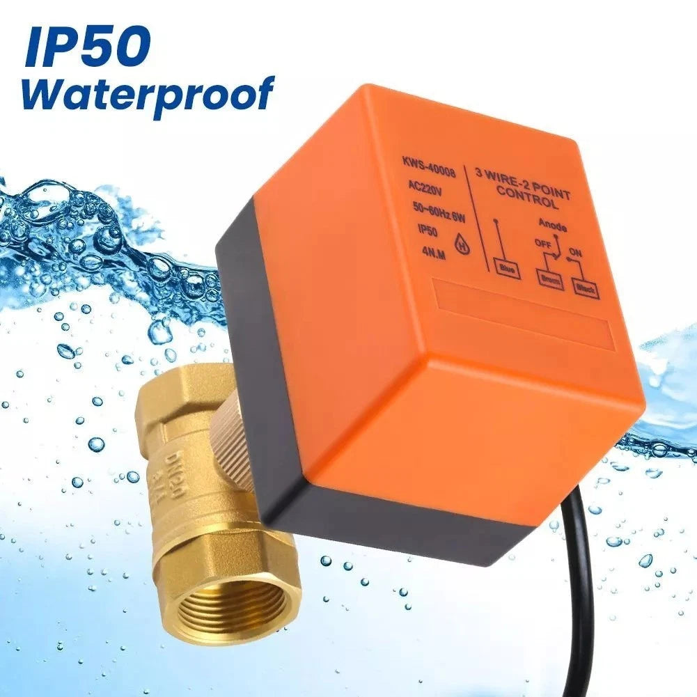 Electric Ball Valve DN20 for High Performance Applications