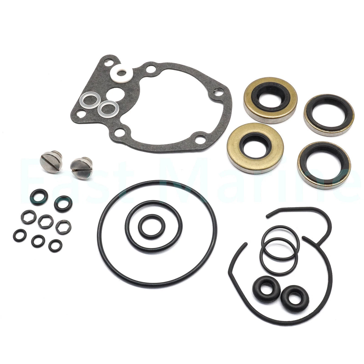 Gearcase Seal Kit Johnson Evinrude 15-30 HP ETEC 2009-2020 5007987 446-101