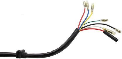 5 Wire Stator Ignition Magneto Plate for Taotao ATV Quad (50cc-125cc)