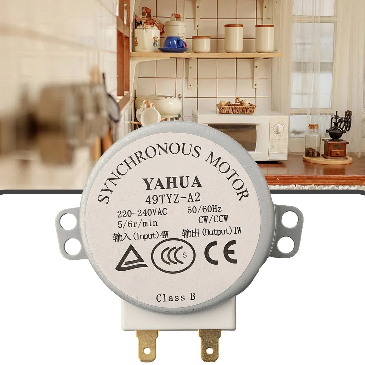 Synchronous Motor for Turntable (4W, 5-6 RPM, 50/60Hz)