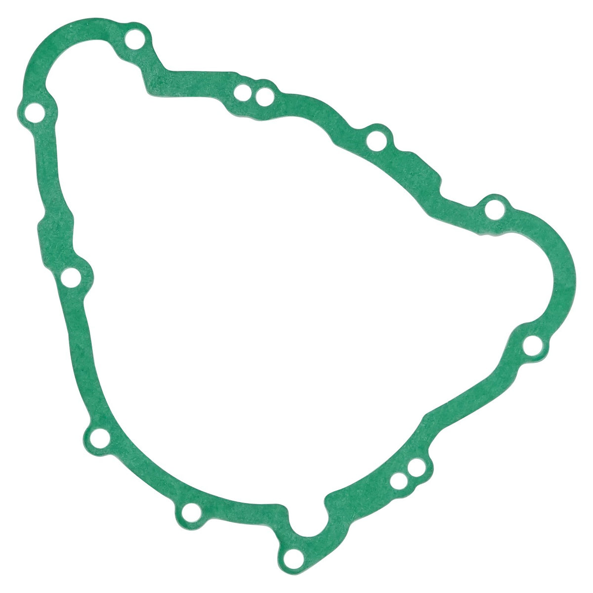 Stator Gasket Replacement for Triumph Street Triple RX (2016–2016)
