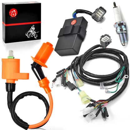 Ignition Coil CDI Spark Plug Wire Harness for Honda FourTrax TRX300 (1997–2000)