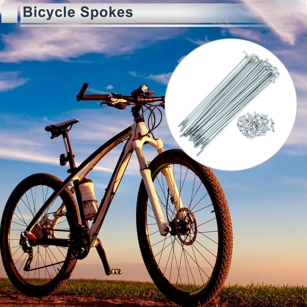 Bicycle Spokes Nipple Set 141mm for 12G Carbon Steel Galvanized Silver (—)