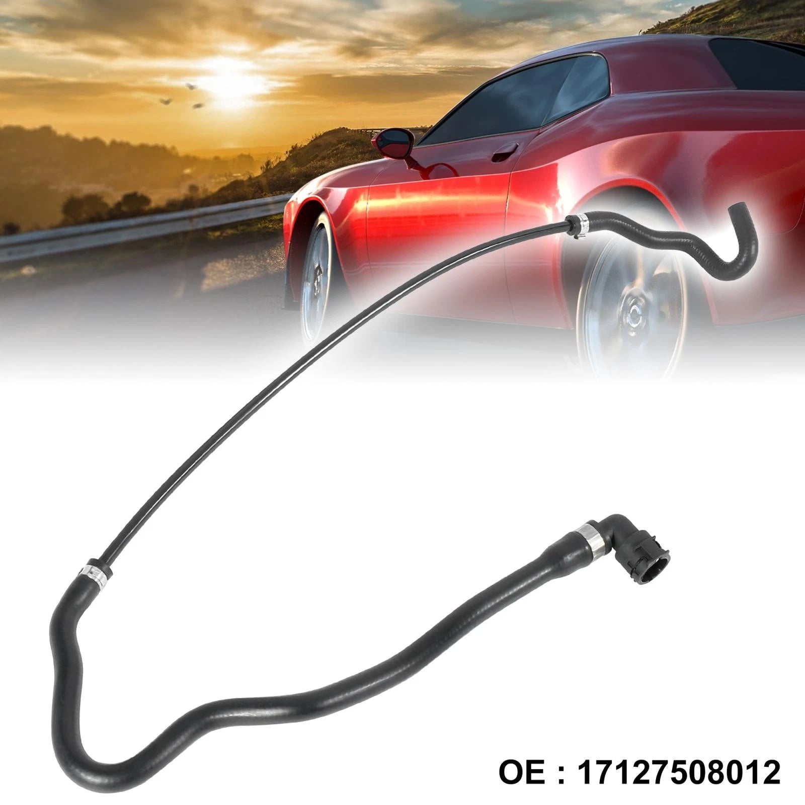 Coolant Water Hose from Expansion Tank for BMW 745Li (2002–2005)