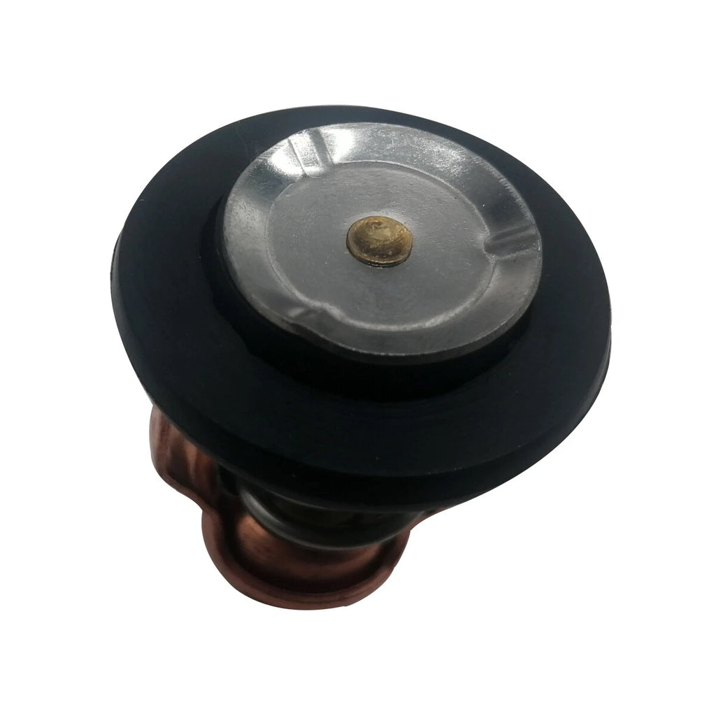6CE-12411-00 Thermostat for Yamaha 225 250 300 HP Outboard (2000–2023)
