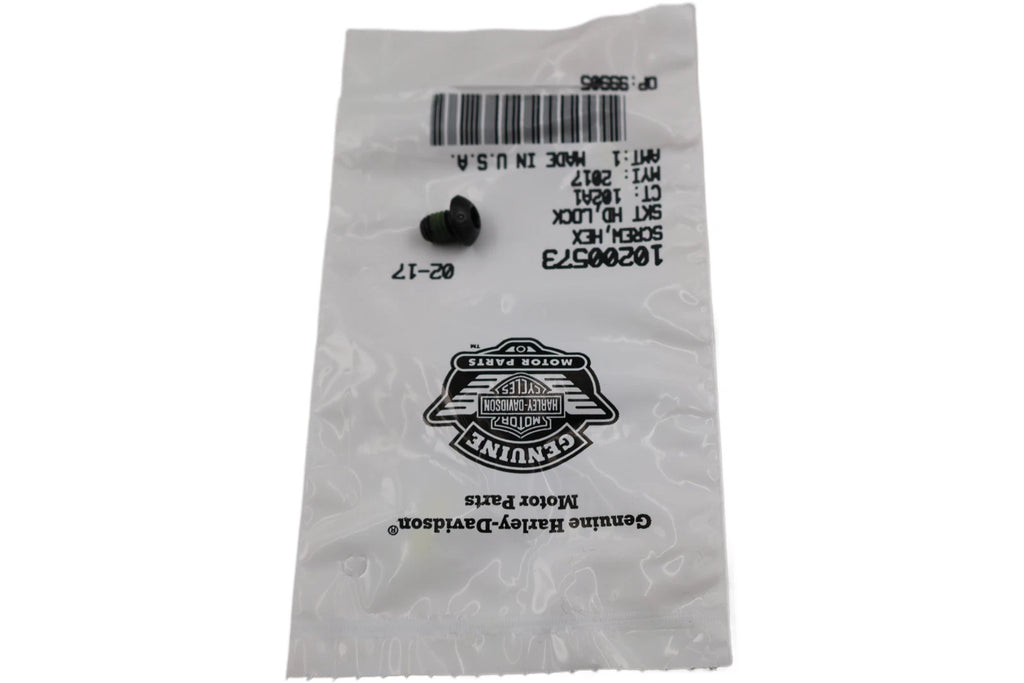 Hex Socket Head Screw Lock for Harley-Davidson (OEM 10200573)