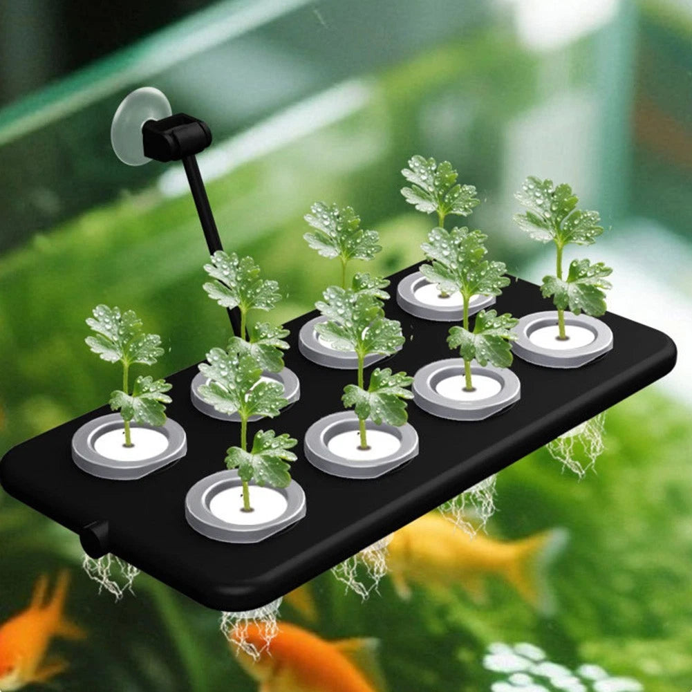 Floating Planting System for Aquarium Landscaping (Wall Mounted)