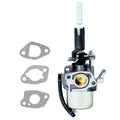 Carburetor Replacement Kit with Gaskets for Ariens 921024, 921030 (2000)