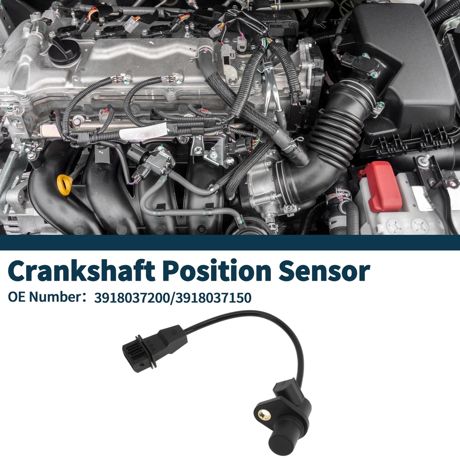 Crankshaft Position Sensor Replacement for Hyundai Santa Fe GLS 2.7 (2001–2006)
