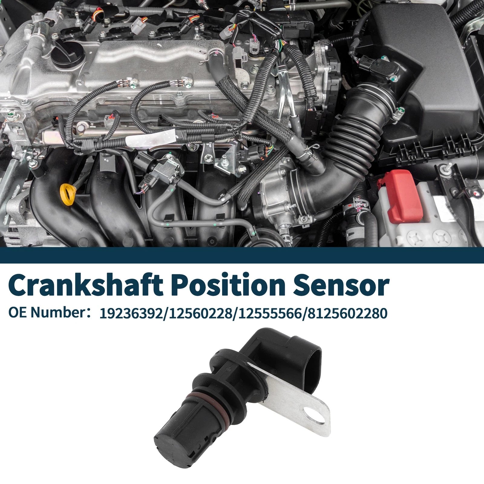 Crankshaft Position Sensor Replacement for Chevy Silverado 1500 (1999–2005)