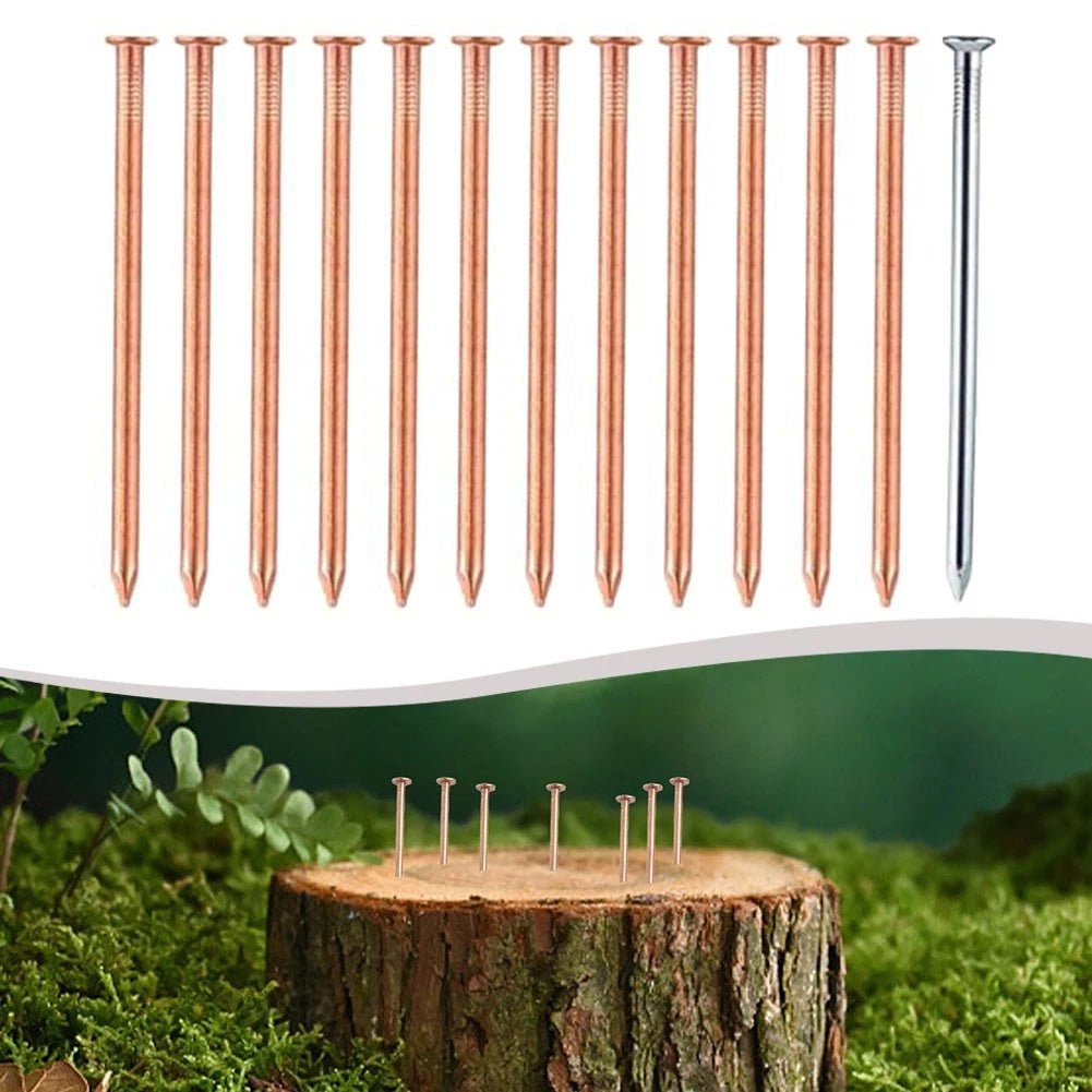 Stump Removal Copper Nails for Landscaping Projects - Convenient Storage Box